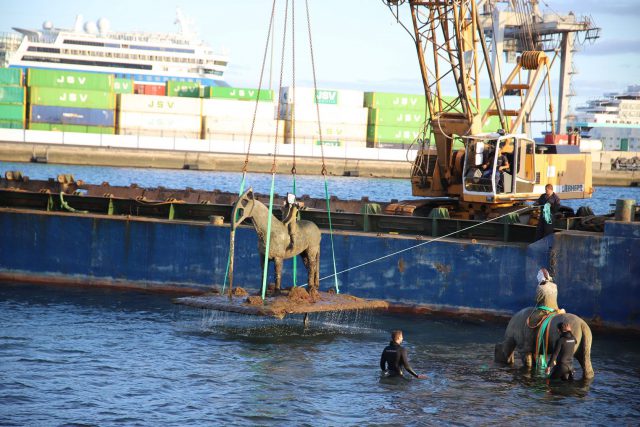 Los Centros retiran La Marea Creciente 10 Retiran los caballos de Jason deCaires 2