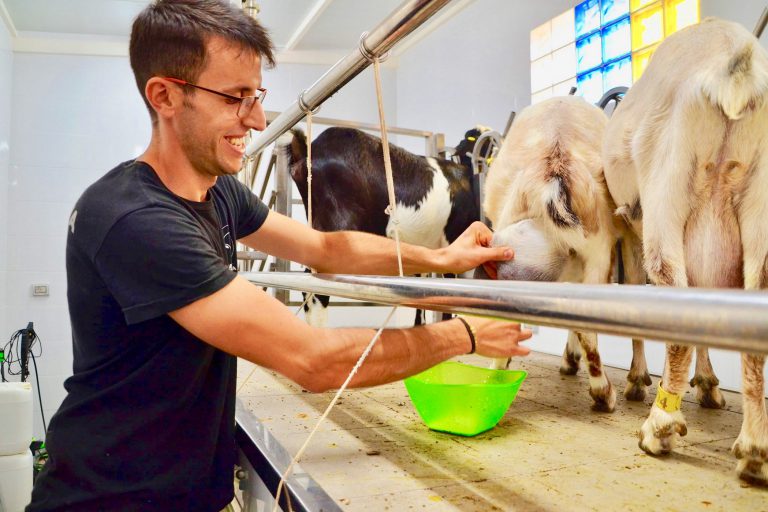 EL JOVEN GANADERO SERAFÍN NAVARRO BENÍTEZ ES EL PROTAGONISTA DE ESTA SEMANA DE “DIARIO GANADERO VILLA AGÜIMES”