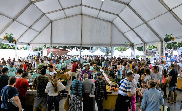 Mogán abre el lunes el plazo de inscripción para participar en la V Feria del Aguacate  