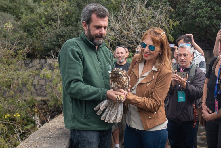 El Cabildo devuelve a la naturaleza dos aguilillas curadas en su Centro de Recuperación