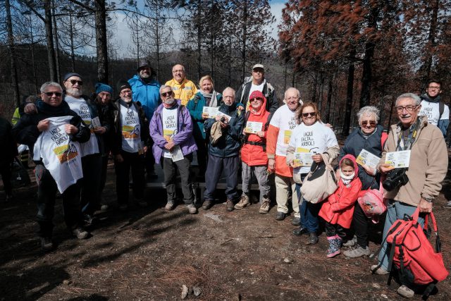 homenajediadelarbol1