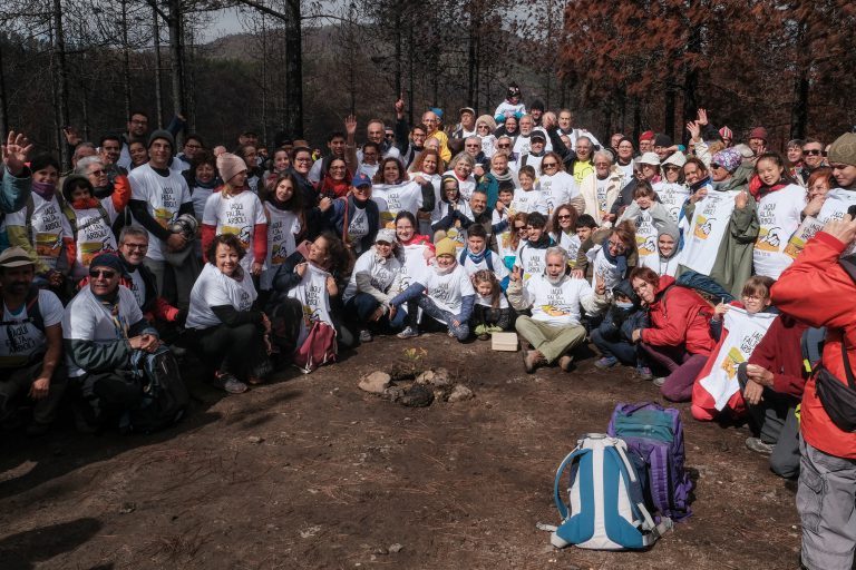 Gran Canaria rinde homenaje a 24 de los impulsores del Día del Árbol hace 50 años