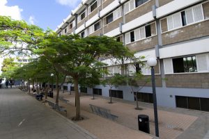 humanidades 20081003 203 r