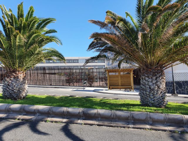 marquesina ies agaete 3