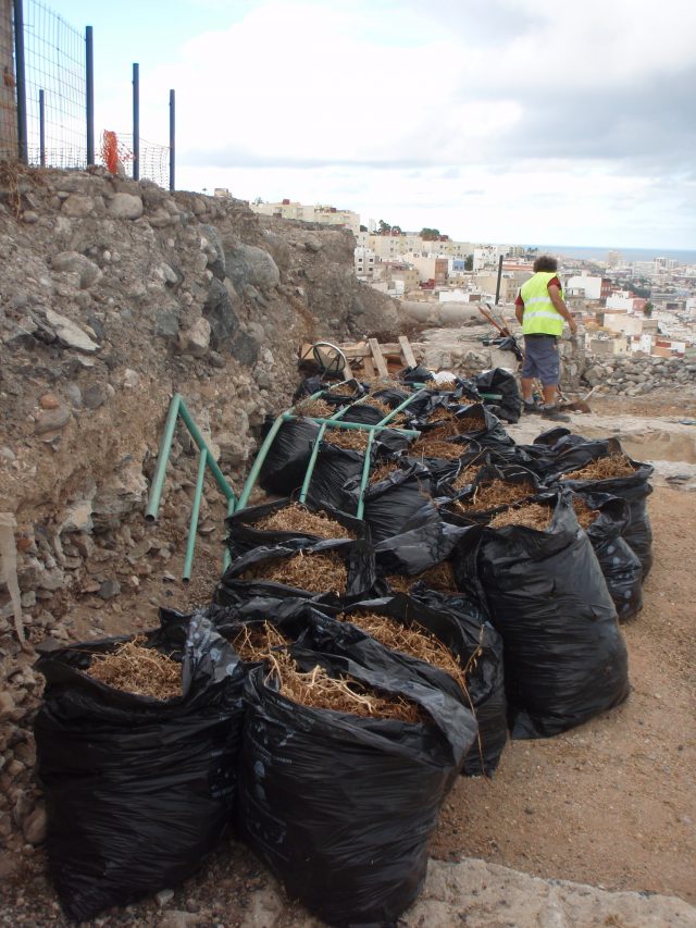 El Ayuntamiento realiza unos trabajos de limpieza y restauración en el Mirador de Punta de Diamante 36 mirador3