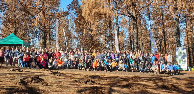 Foresta y 200 voluntarios devuelven el verde a las cumbres de Gran Canaria