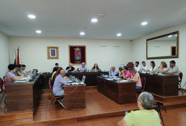 Adeje aprueba una moción para  impulsar la “Estrategia Autonómica de Atención al Daño Cerebral Adquirido”