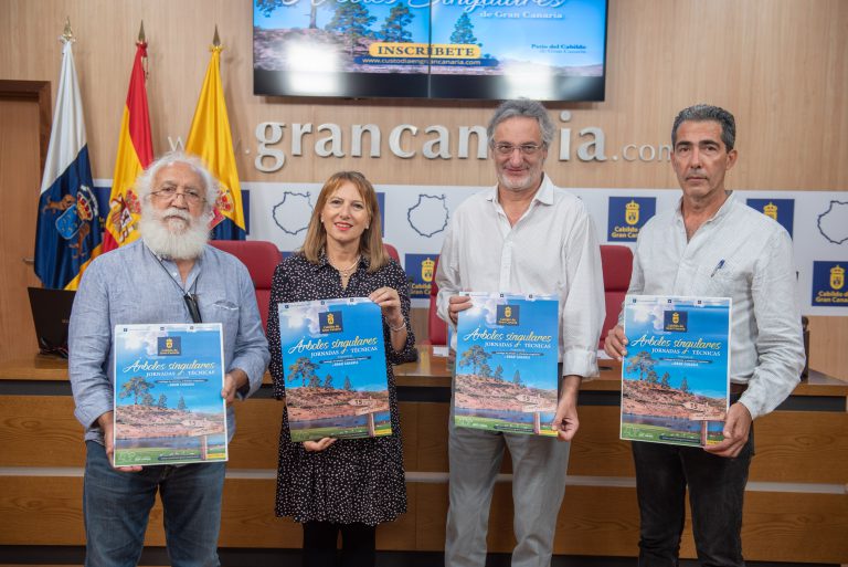 El Cabildo cataloga 85 árboles de Gran Canaria como singulares por su porte, belleza o su antigüedad centenaria de hasta 400 años