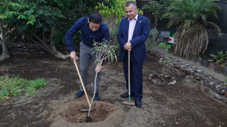 El Ayuntamiento de Telde inicia este sábado la apertura parcial de los parques del municipio 