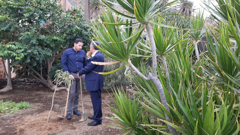 Telde realizará 1.000 nuevas plantaciones durante la semana del árbol