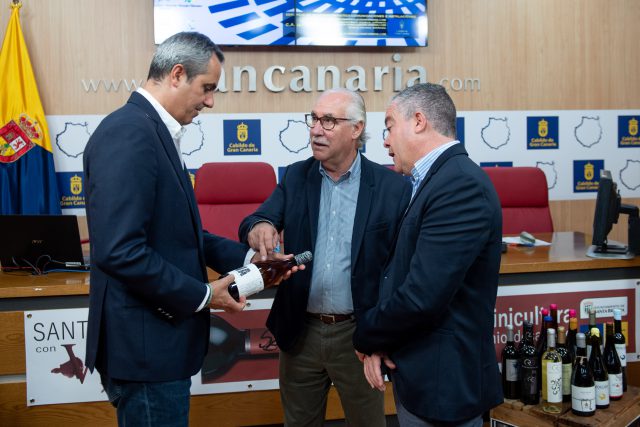vinossantabrigida2