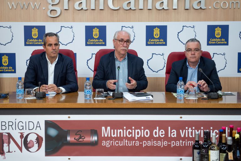 Teatro, cine, circo y música se alían para ensalzar la cultura vitivinícola de Gran Canaria en el evento Santa Brígida con Vino
