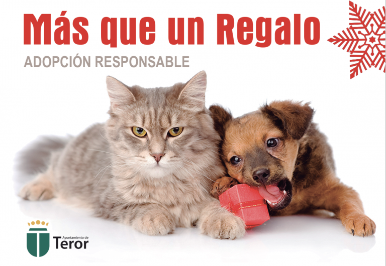 El Ayuntamiento pone en marcha una campaña de adopción responsable de animales en Navidad