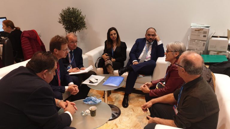 El Cabildo traslada al ministerio de Transición Ecológica la urgencia de incluir la termita americana en el catálogo de especies exóticas invasoras