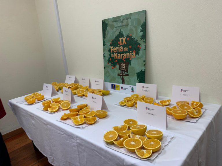 El jurado de la cata a ciegas de la naranja de Telde califica de muy buena y excelente su calidad