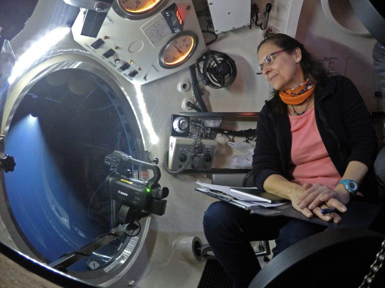 El catedrático Melchor González Dávila, representante español en la COP25 de Naciones Unidas sobre cambio climático