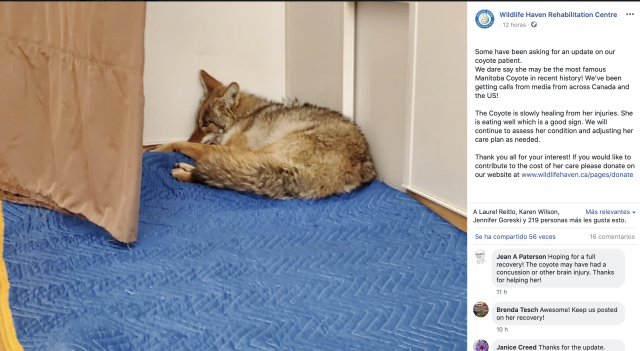 Captura de pantalla 2019 12 05 a las 9.42.39