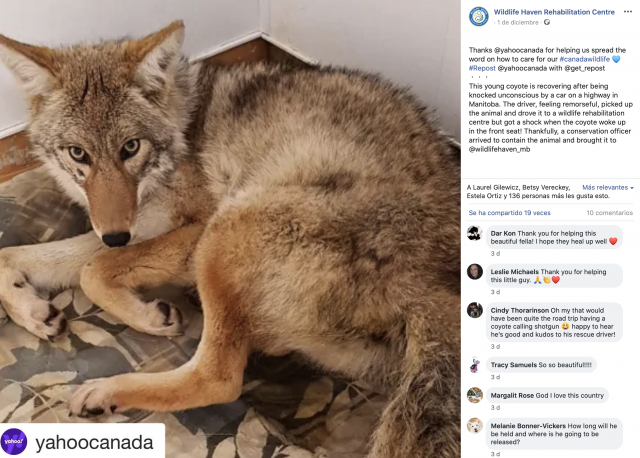 Captura de pantalla 2019 12 05 a las 9.43.56