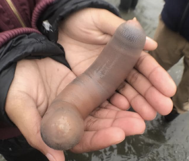 Captura de pantalla 2019 12 13 a las 8.39.48