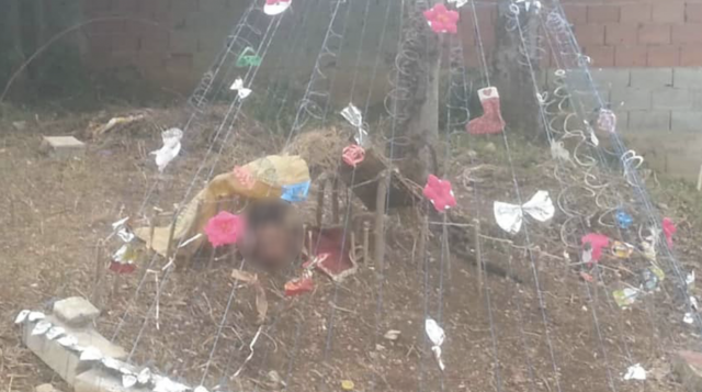 Encuentran la cabeza de un hombre adornando un árbol de Navidad 1 Captura de pantalla 2019 12 13 a las 8.58.55