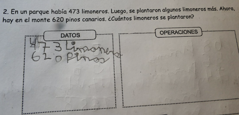 Un padre pide ayuda con los deberes de su hijo de primaria: nadie ha podido resolver el problema matemático