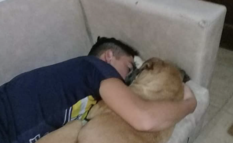 Una perra muere en brazos de su dueño aterrada por unos fuegos artificiales