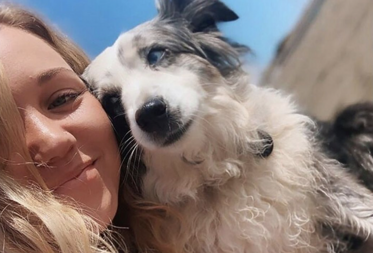 Una joven alquila un avión para buscar a su perro desaparecido y ofrece una suculenta recompensa a quien lo encuentre