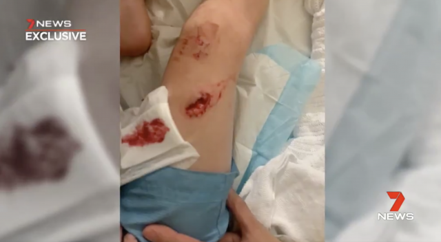 Captura de pantalla 2019 12 20 a las 14.10.30