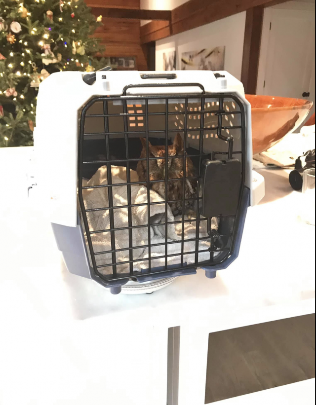 Captura de pantalla 2019 12 20 a las 9.41.30