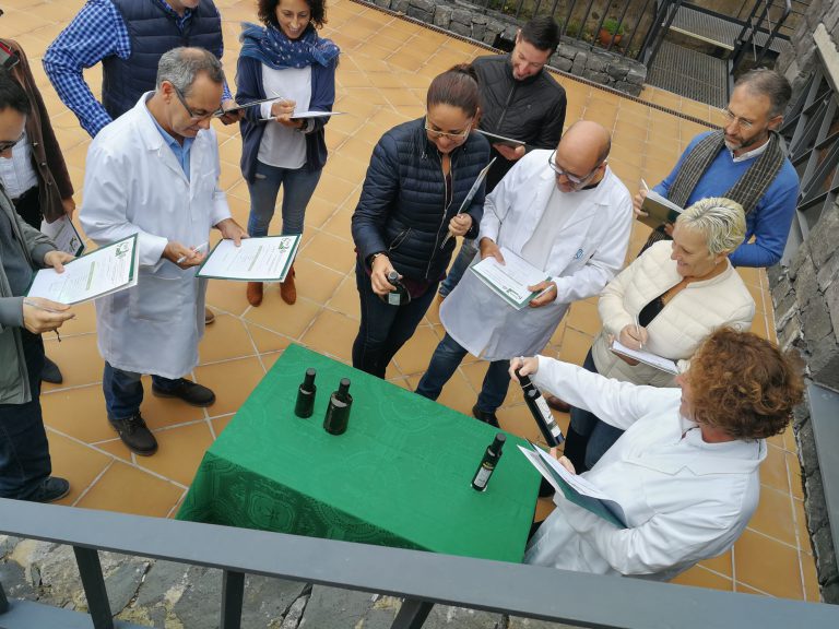 El V Concurso de Aceites de  Oliva Virgen Extra ya tiene ganadores