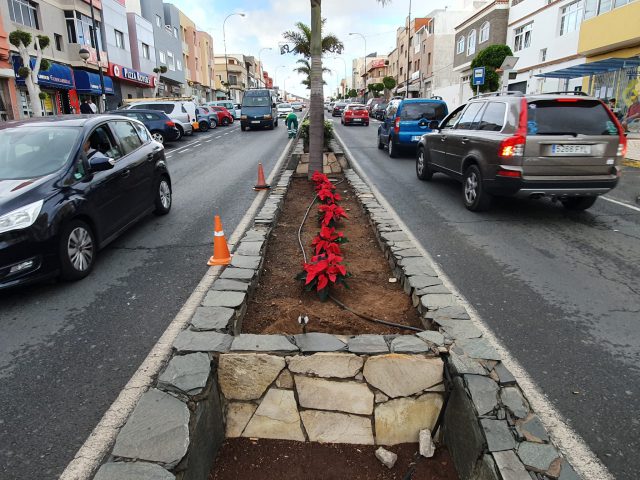 FLORES PASCUA NAVIDAD 1