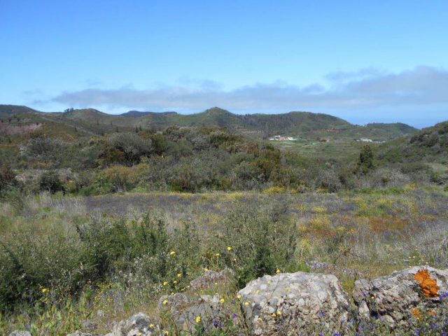 Foto zona de la futura laguna