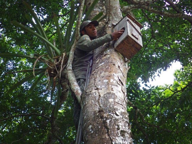 Loro Parque Fundación salva a 10 especies de loros de la extinción   3 Disfruta una noche (o más) en una de las cabañas de España