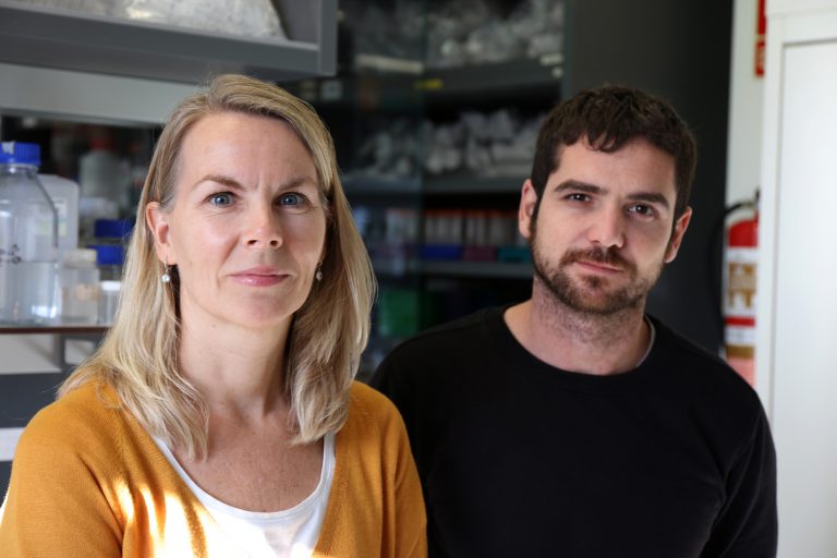 Investigadores del HUC descubren la función reguladora de un gen para evitar daño en el ADN y para proteger contra el cáncer