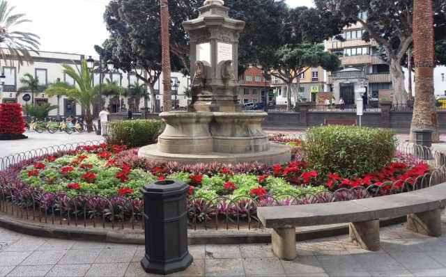 Plantacion Pascuas Plaza Hurtado de Mendoza 29 nov 2019