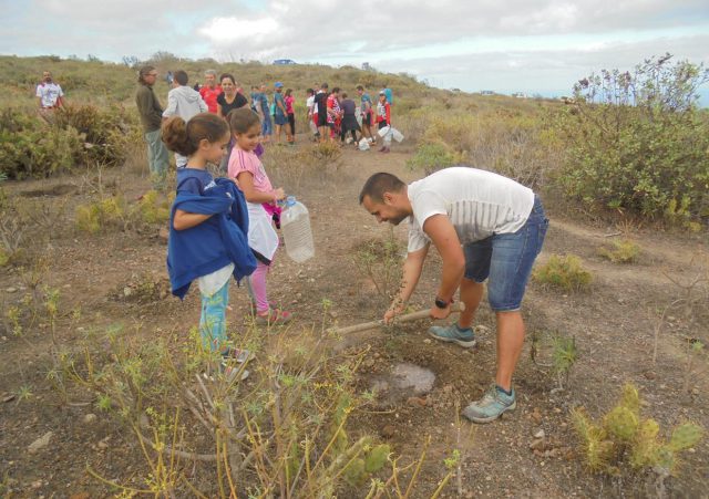 Arucas cuenta con 350 árboles nuevos plantados por simpatizantes de Activat y la vinca Ecologistas en Acción 24 Plantación Arucas 1.12.2019 2