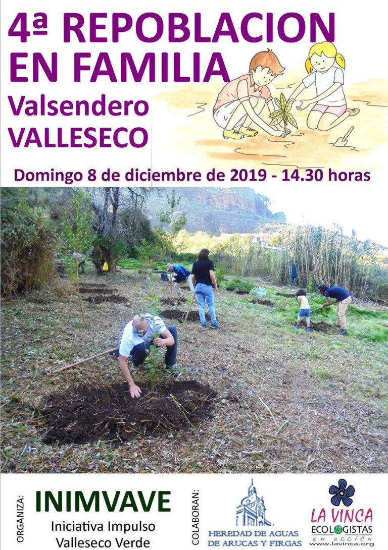 Valsendero acoge el domingo 8 de diciembre una repoblación forestal de laurisilva