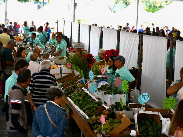V Feria del Aguacate de Mogán