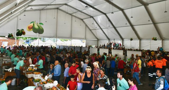 Vista general zona de agricultores de la V Feria del Aguacate de Mogán