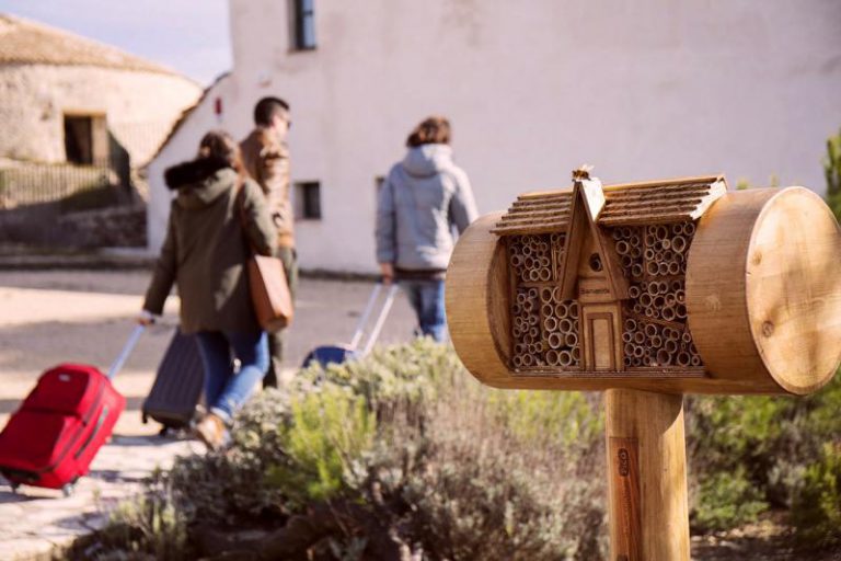 Abre la primera cadena de hoteles para abejas