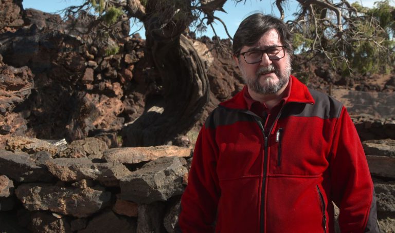 Un estudio del Parque Nacional del Teide analiza si hubo bosques de cedros en las cumbres de Tenerife