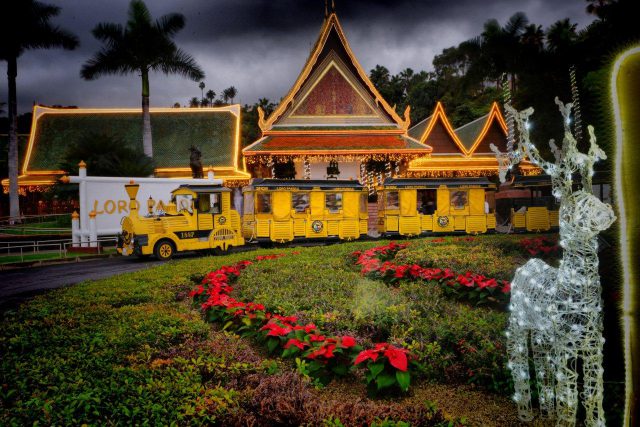 Loro Parque cumple 47 años de amor por la naturaleza y los animales 3 loro parque cumple 47 años 01