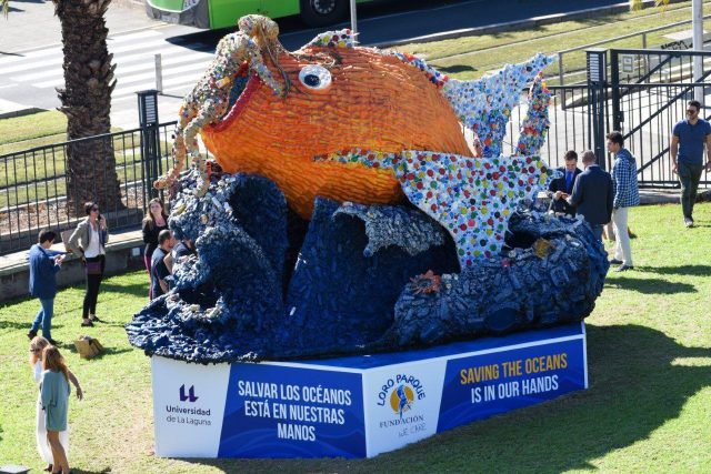 Loro Parque cumple 47 años de amor por la naturaleza y los animales 1 loro parque cumple 47 años 02