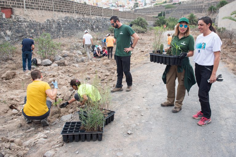 Más de 200 voluntarios celebran el Día del Árbol en Gran Canaria con la plantación de 1.000 ejemplares en el entorno del Guiniguada