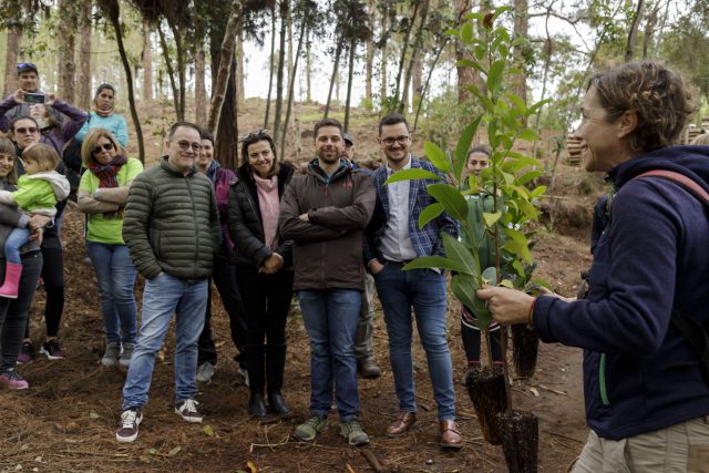 reforestacion 016
