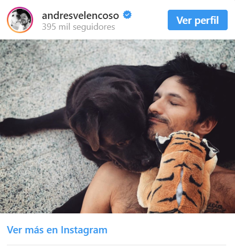 velencoso perro lara