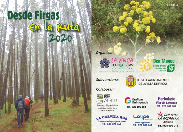 LA VINCA Ecologistas en Acción presenta la nueva temporada del Programa de Senderismo “DESDE FIRGAS EN LA RUTA 2020”