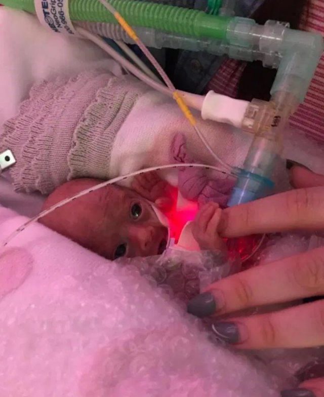 3B86D731 E454 49FD 96A4 36DE198663FF