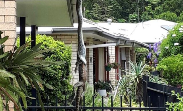 5DC6D1E0 E0E4 4AB5 BAF6 68EBAD2A8811