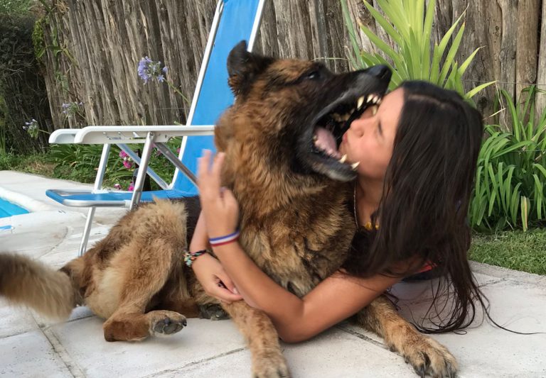 Se hace una sesión de fotos con su perro y acaba con la cara desfigurada